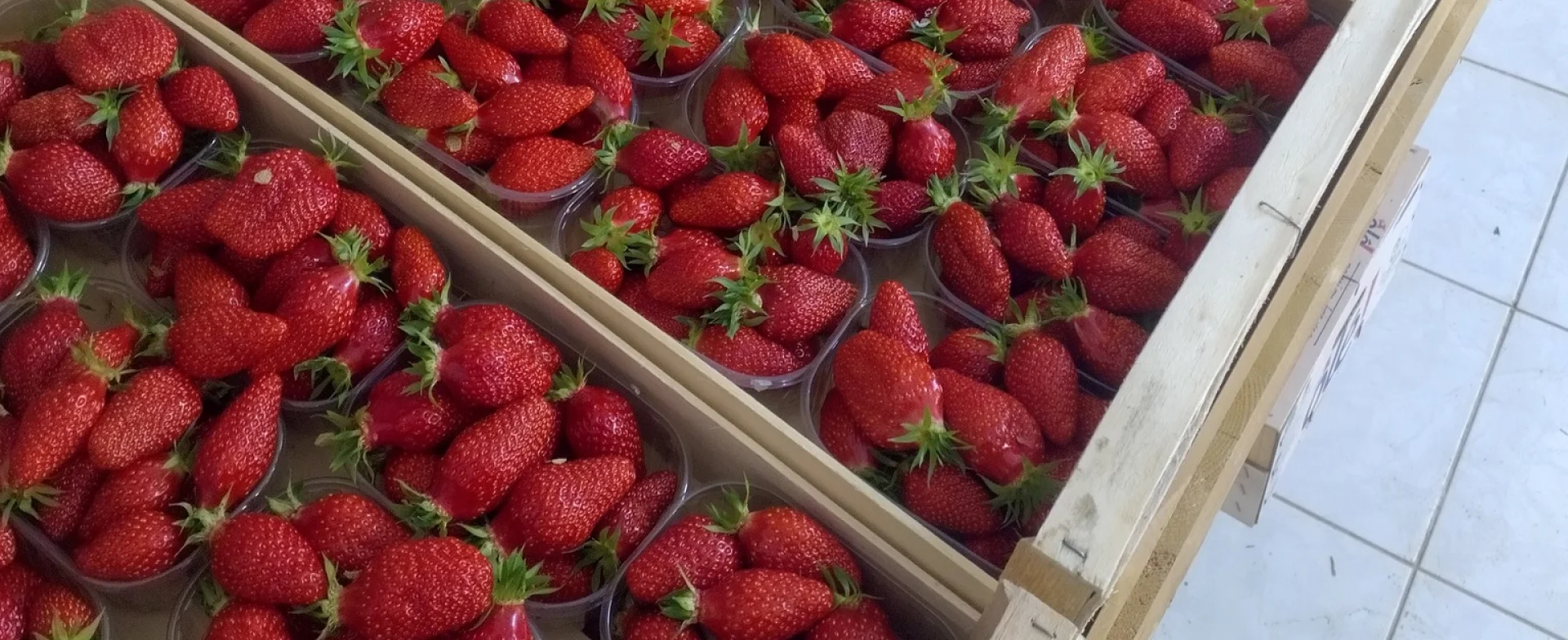 Pauvert Loic Vente Directe De Legumes Et Fraises De Producteur Dans Le Maine Et Loire Fruites 1