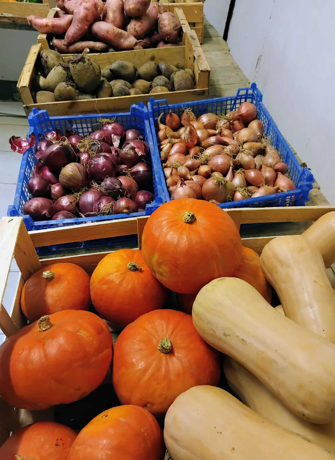 Pauvert Loic Vente Directe De Legumes Et Fraises De Producteur Dans Le Maine Et Loire Imgi 1 Servlet 1