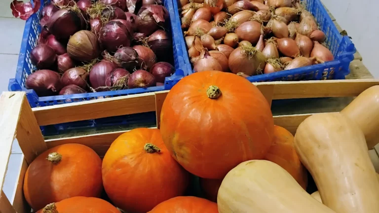 Pauvert Loic Vente Directe De Legumes Et Fraises De Producteur Dans Le Maine Et Loire Minature